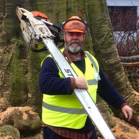 tree surgeons in Elgin Scotland